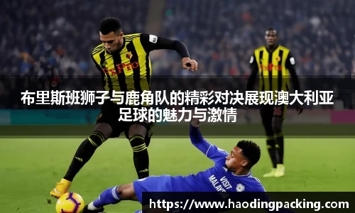 布里斯班狮子与鹿角队的精彩对决展现澳大利亚足球的魅力与激情