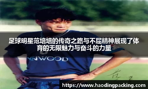 足球明星范培培的传奇之路与不屈精神展现了体育的无限魅力与奋斗的力量